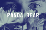 PANDA BEAR