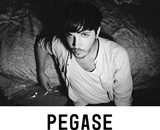 PEGASE