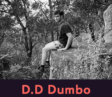 D.D Dumbo