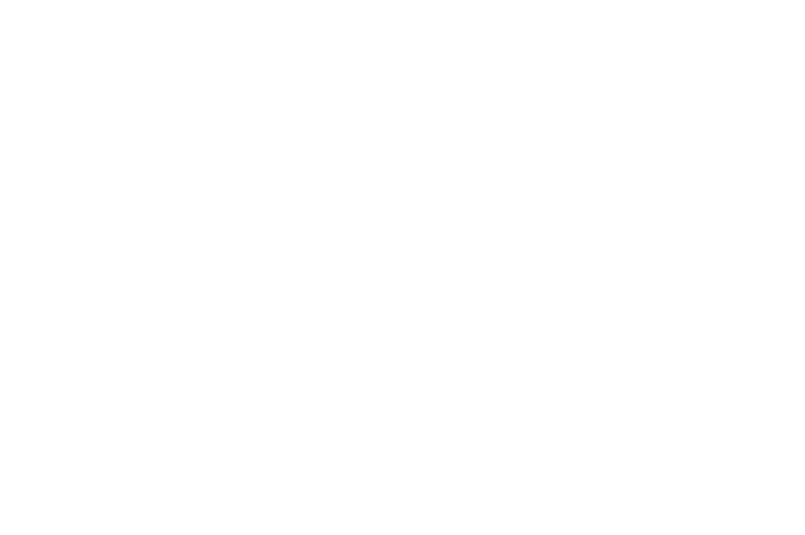 Picthfork Music Festival Paris 2016